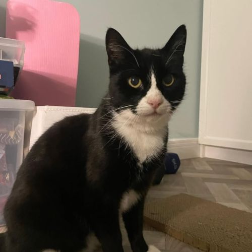 Registered charity…