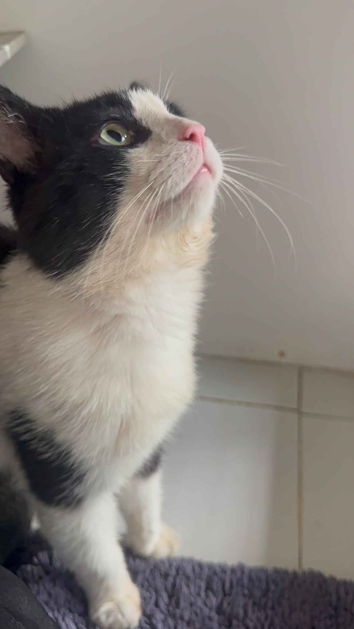 Bruce