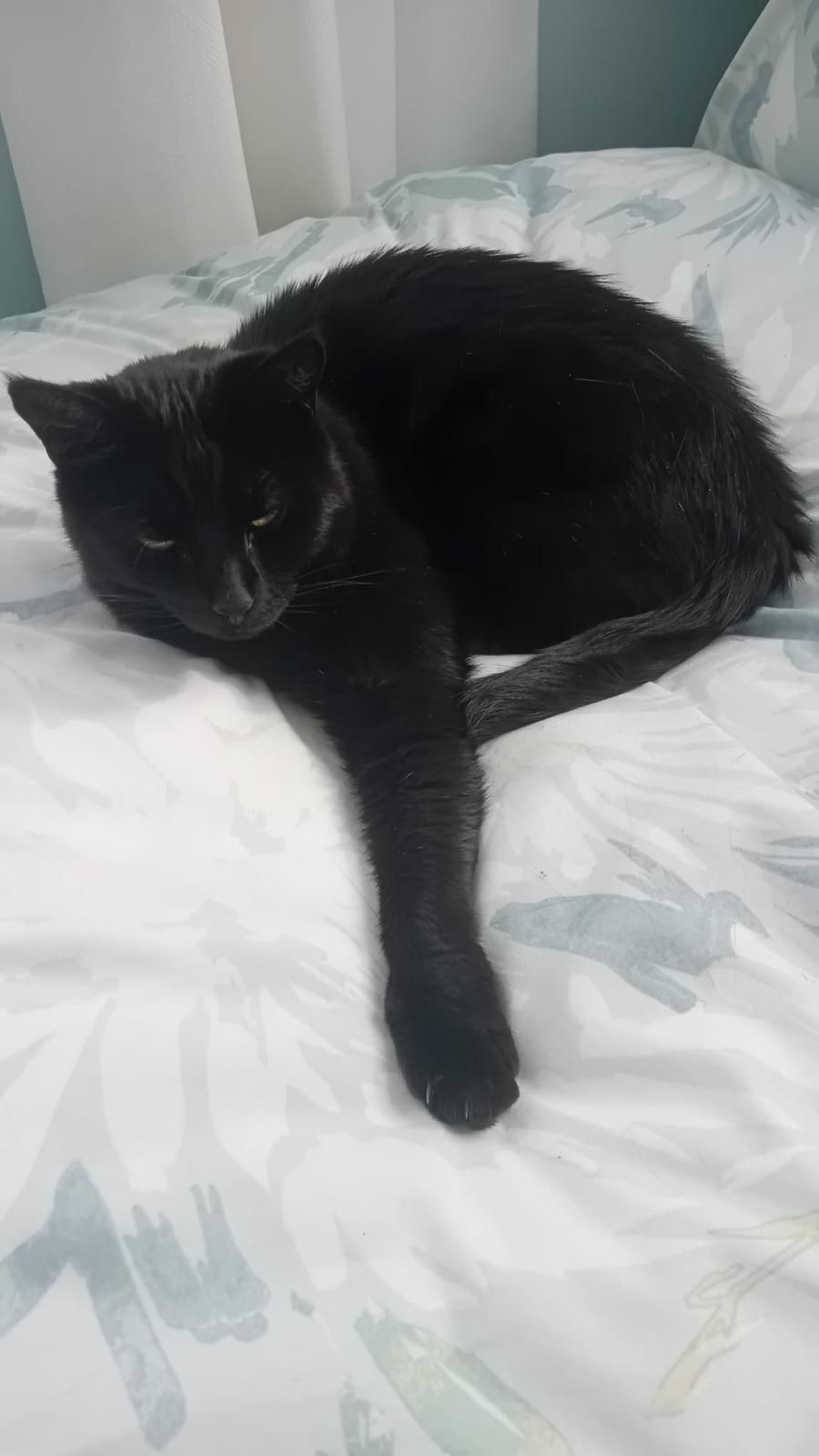 Big Percy