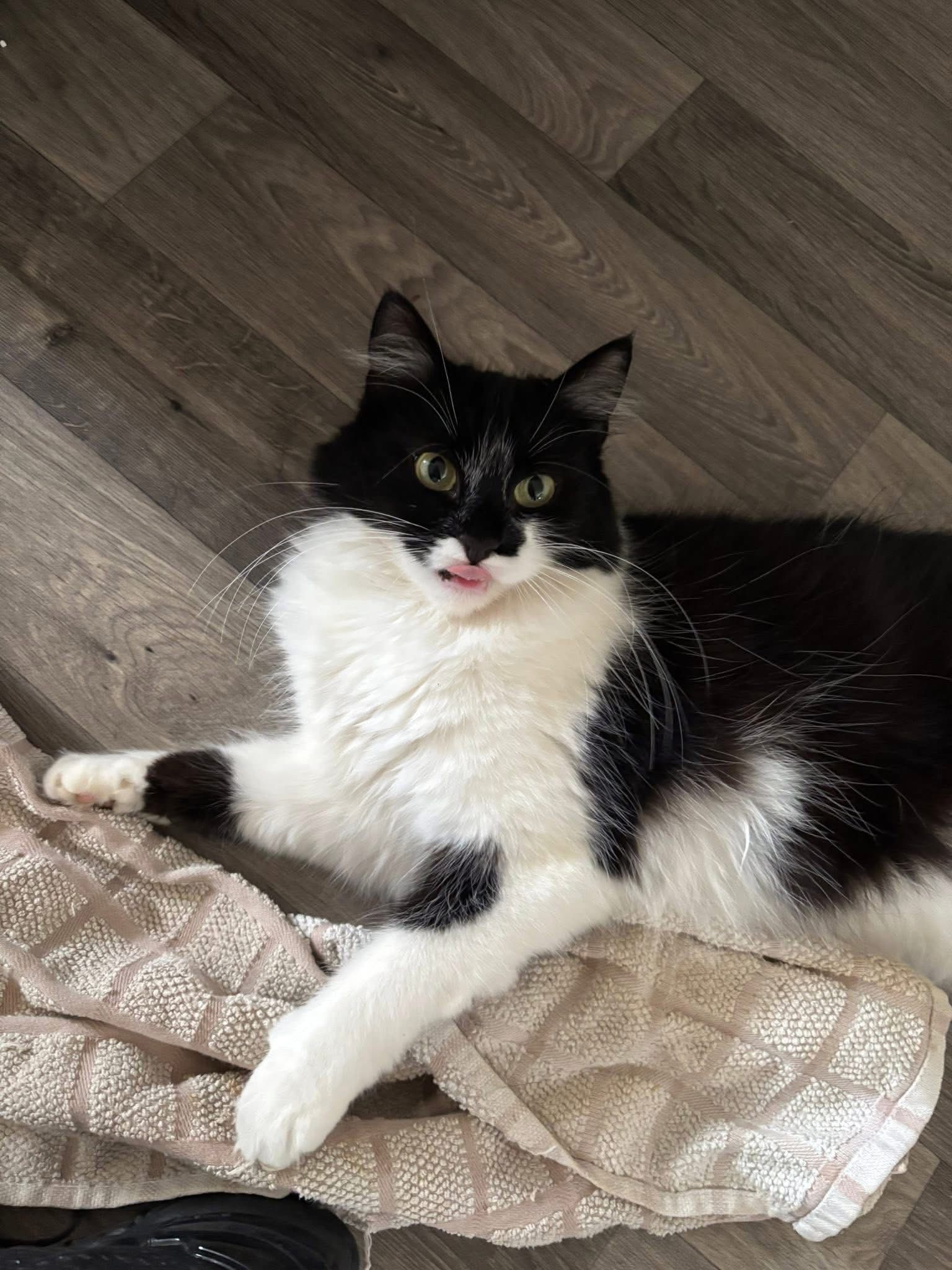 Benny