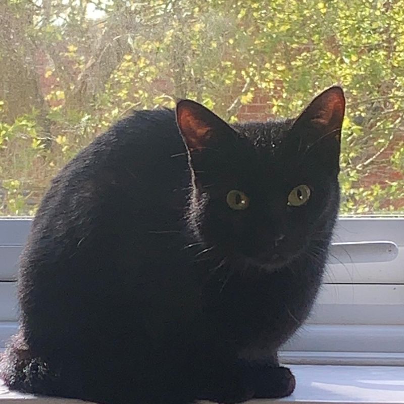 Coco