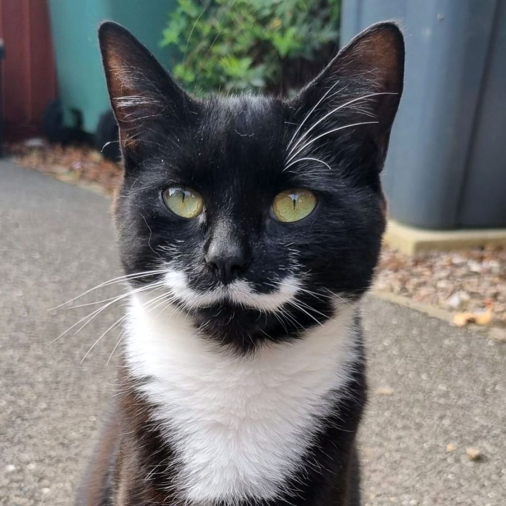 Tinkerbelle and Unicorn