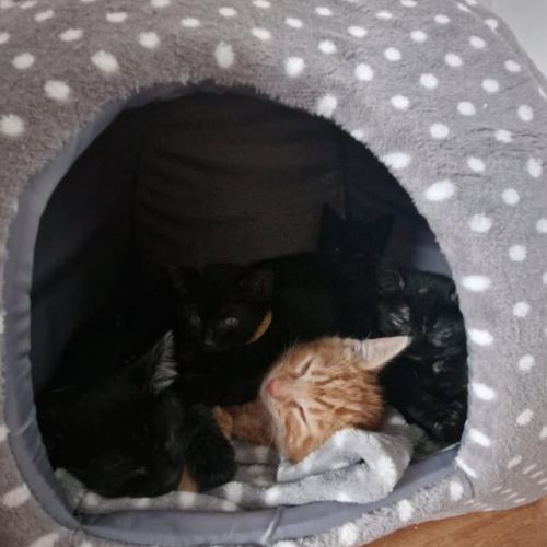 ❤️ Baby beans updat…