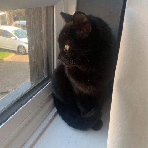 Registered charity…