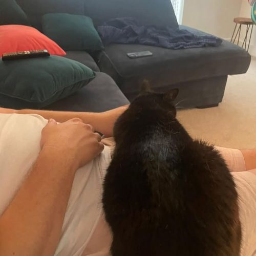 ❤️ Anyone for a lap…