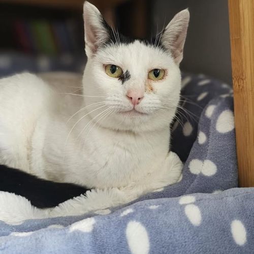 Registered charity…