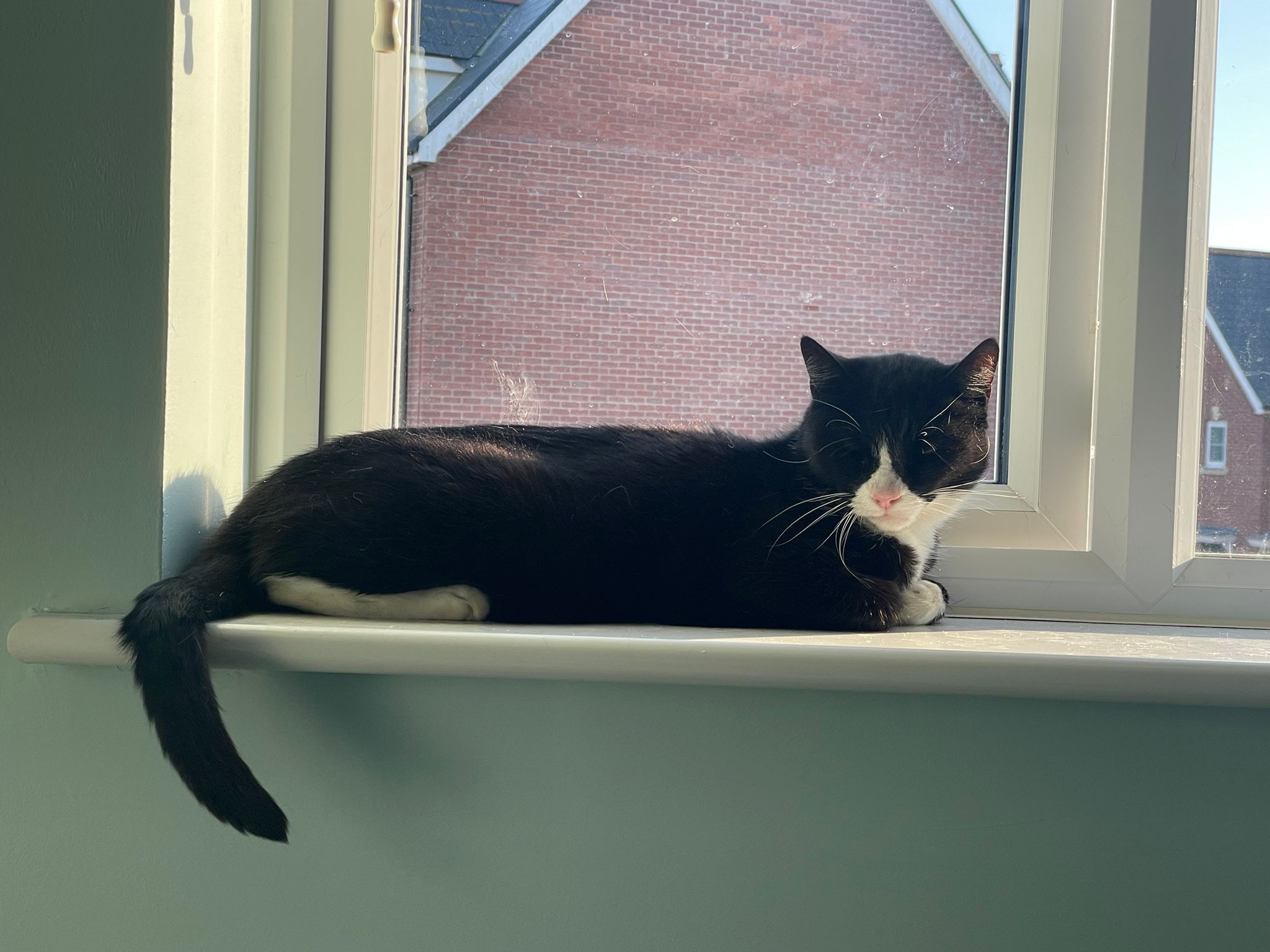 Mr Huffington