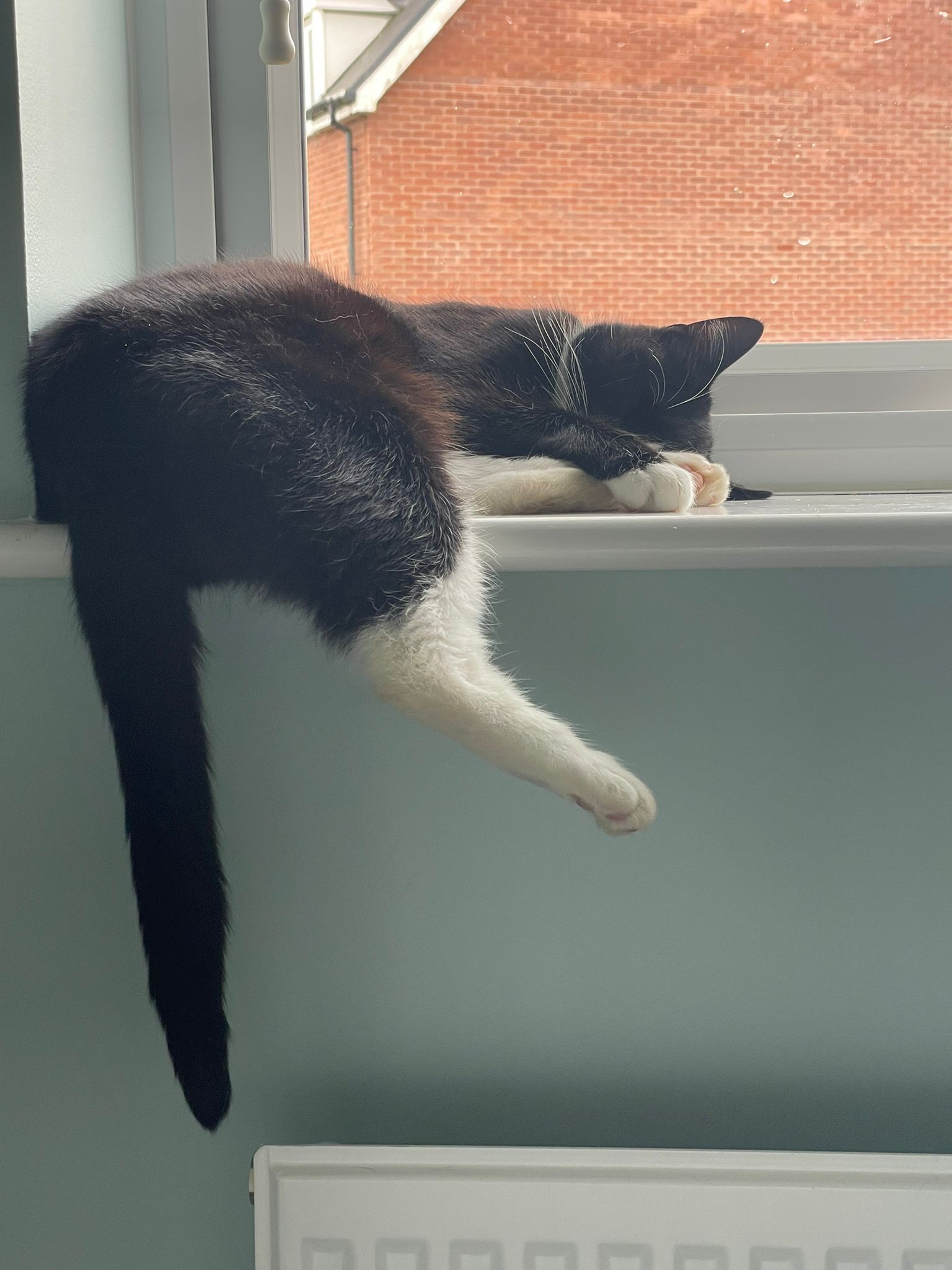 Mr Huffington