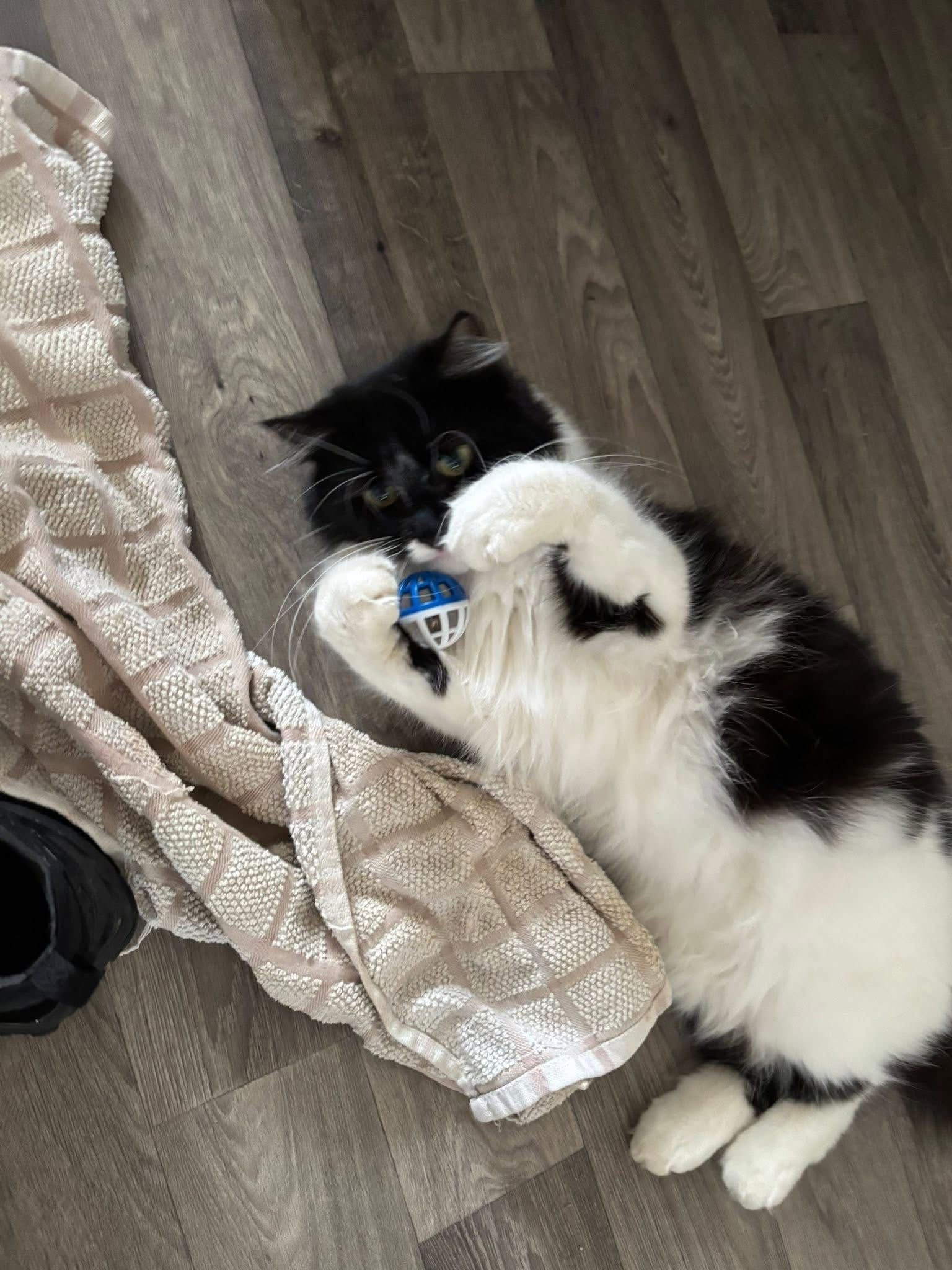 Benny