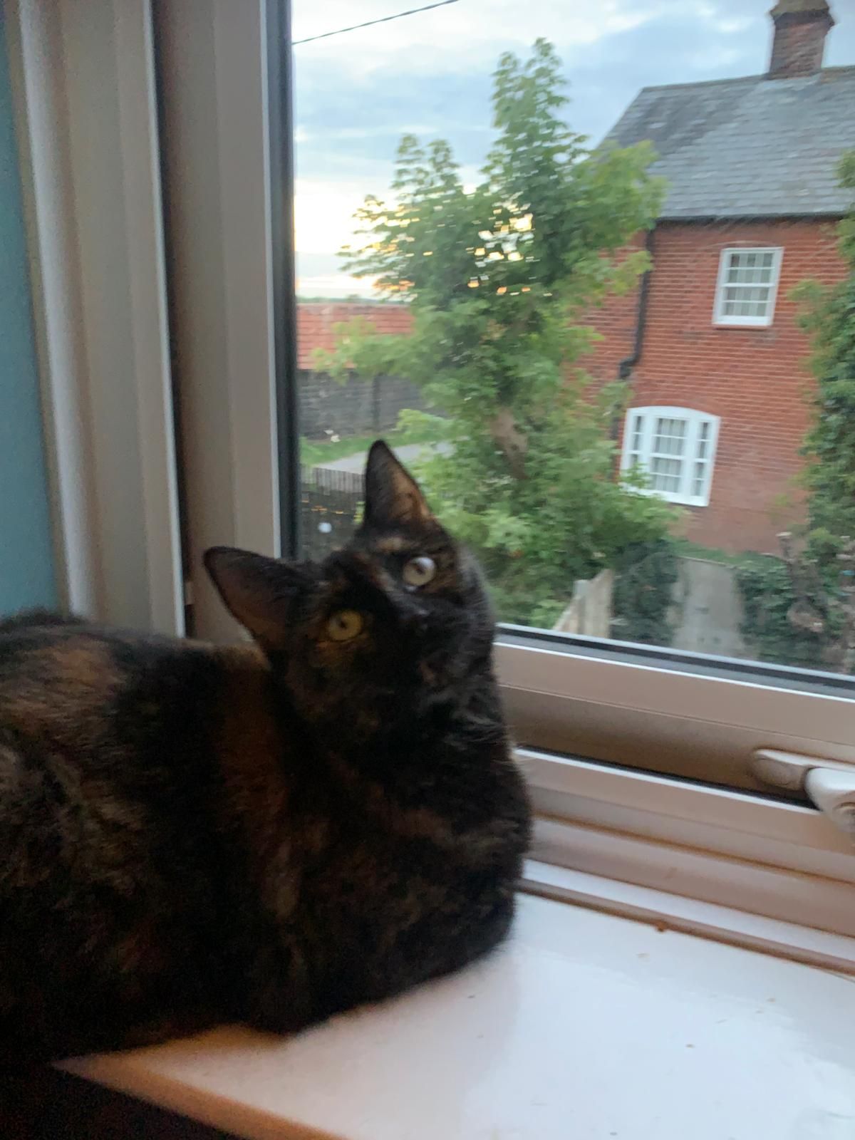 Luna-Belle