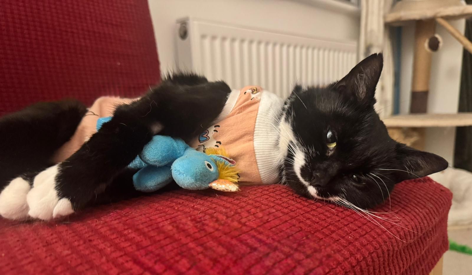 Tinkerbelle and Unicorn