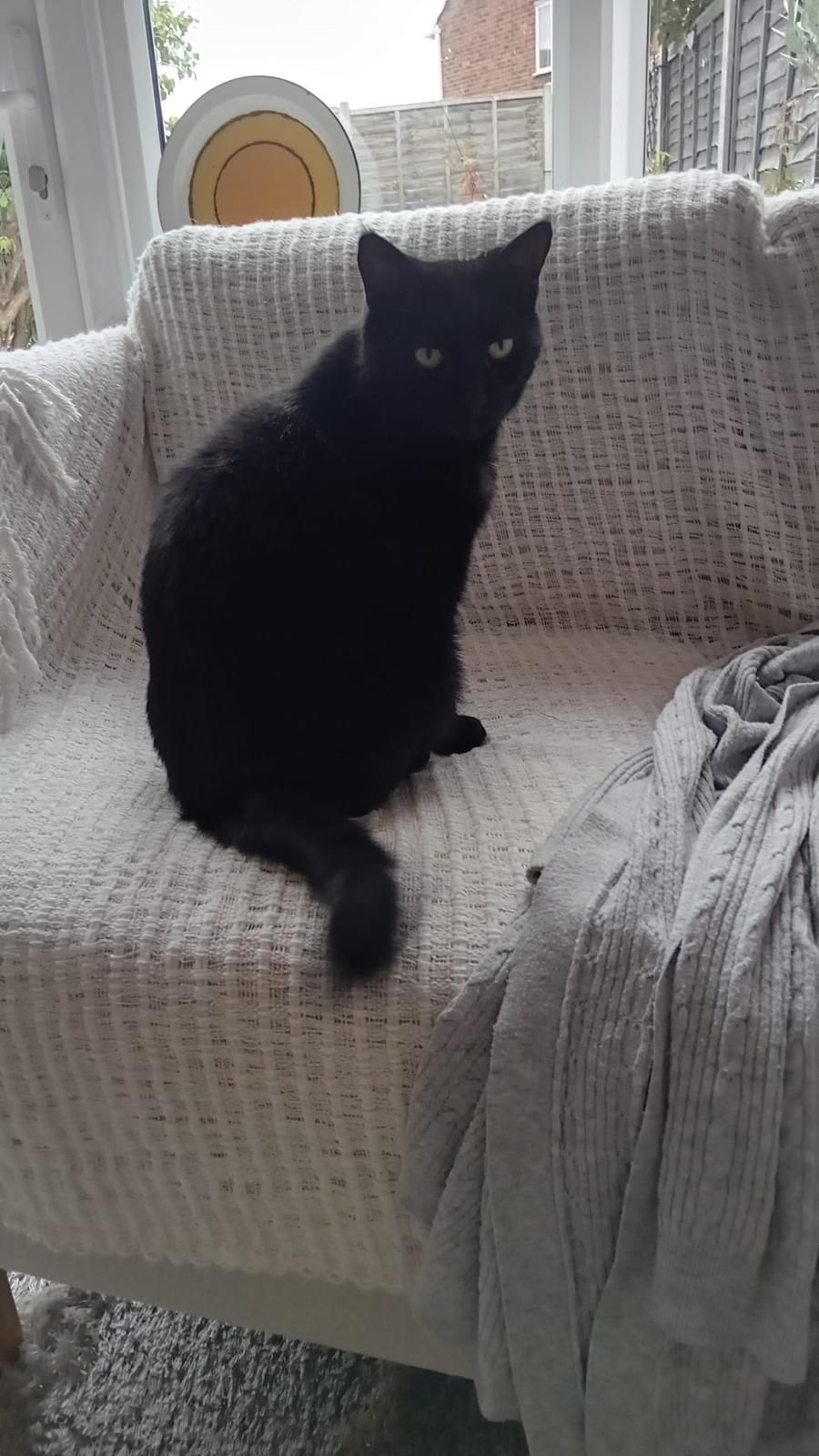 Big Percy