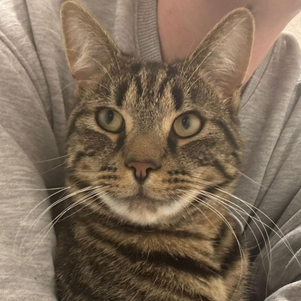 Dexter