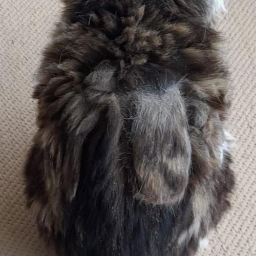 Thank you Róis @ Es…