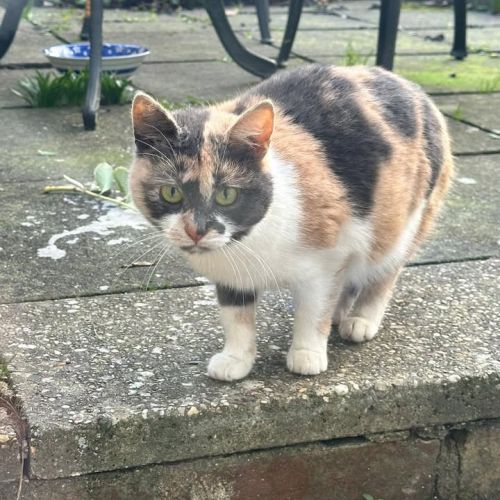 🎉 Foster found 🎉…