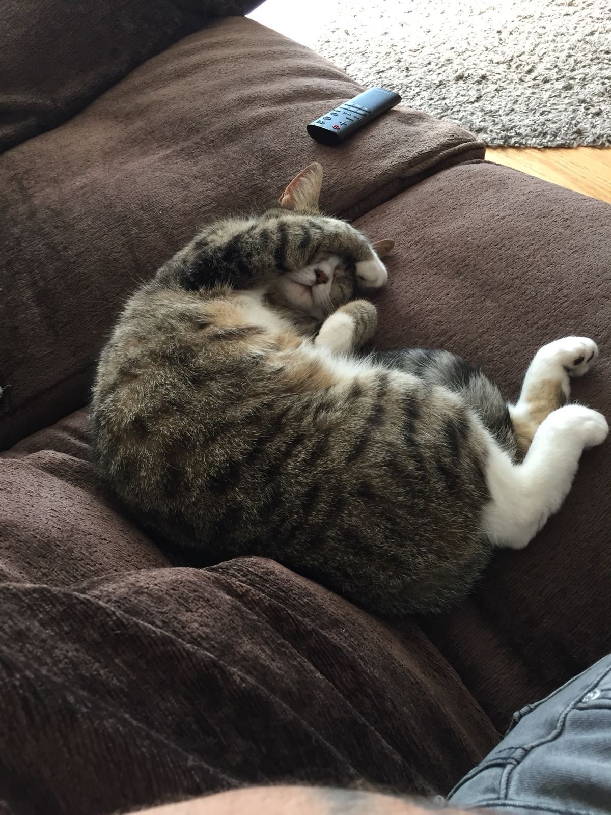 Molly