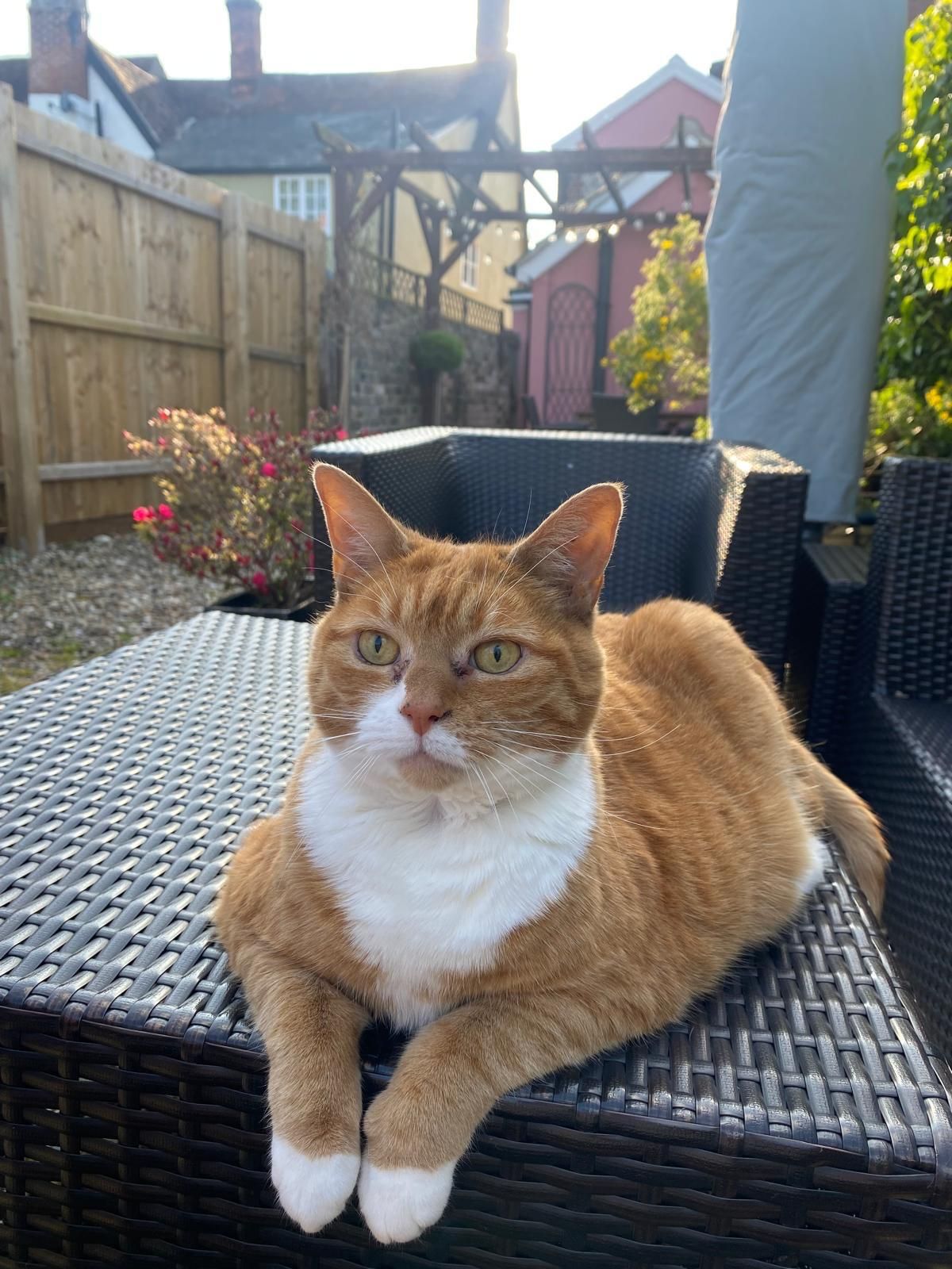 Lulu