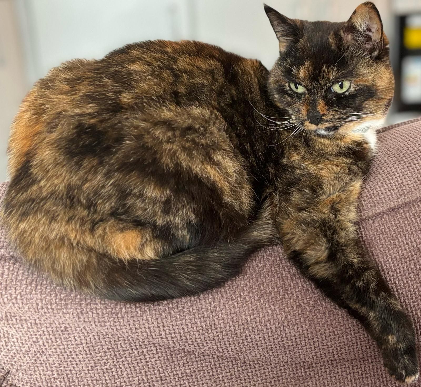 Luna