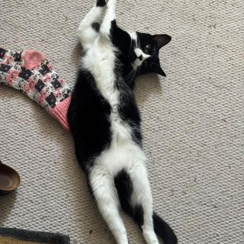 I don’t know what y…