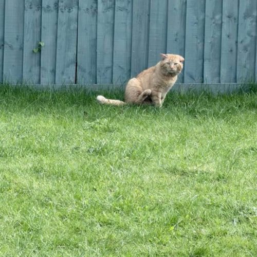 We have been trying…