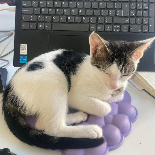 Foster mum Tina see…