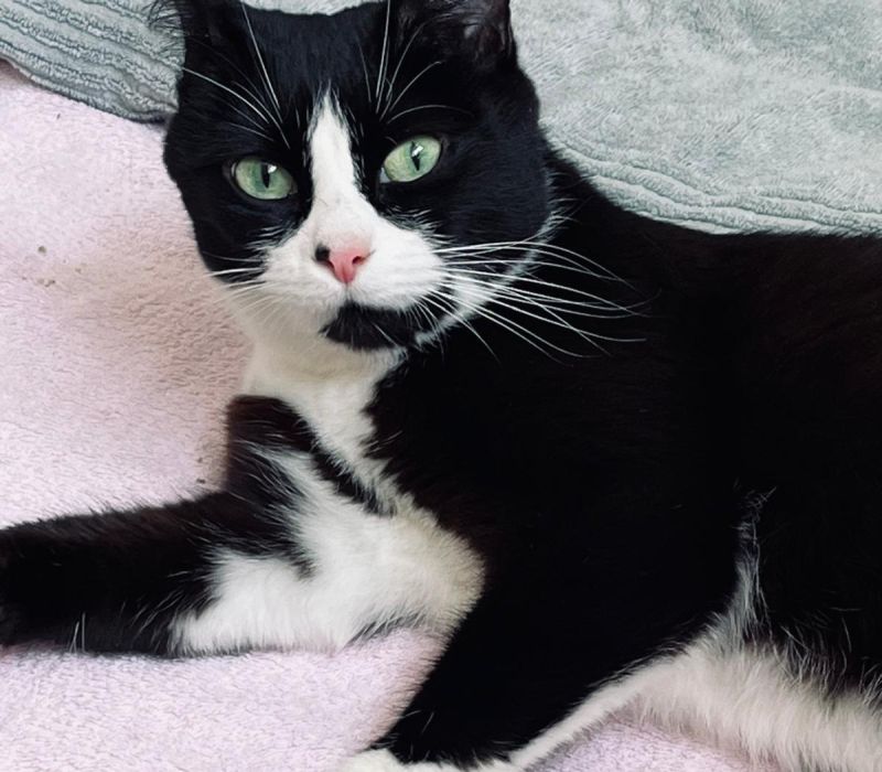 Selina