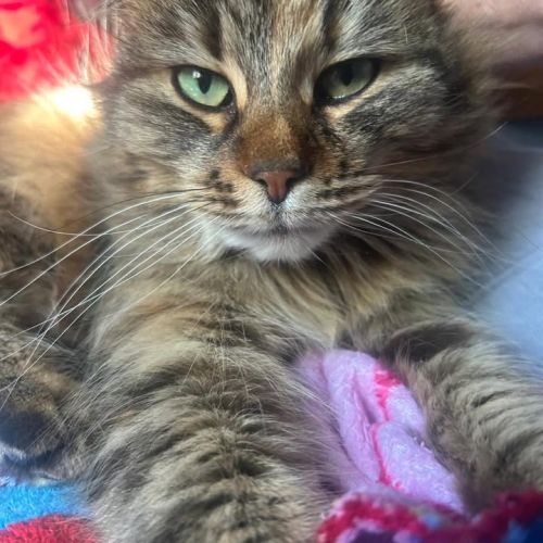 Registered charity…