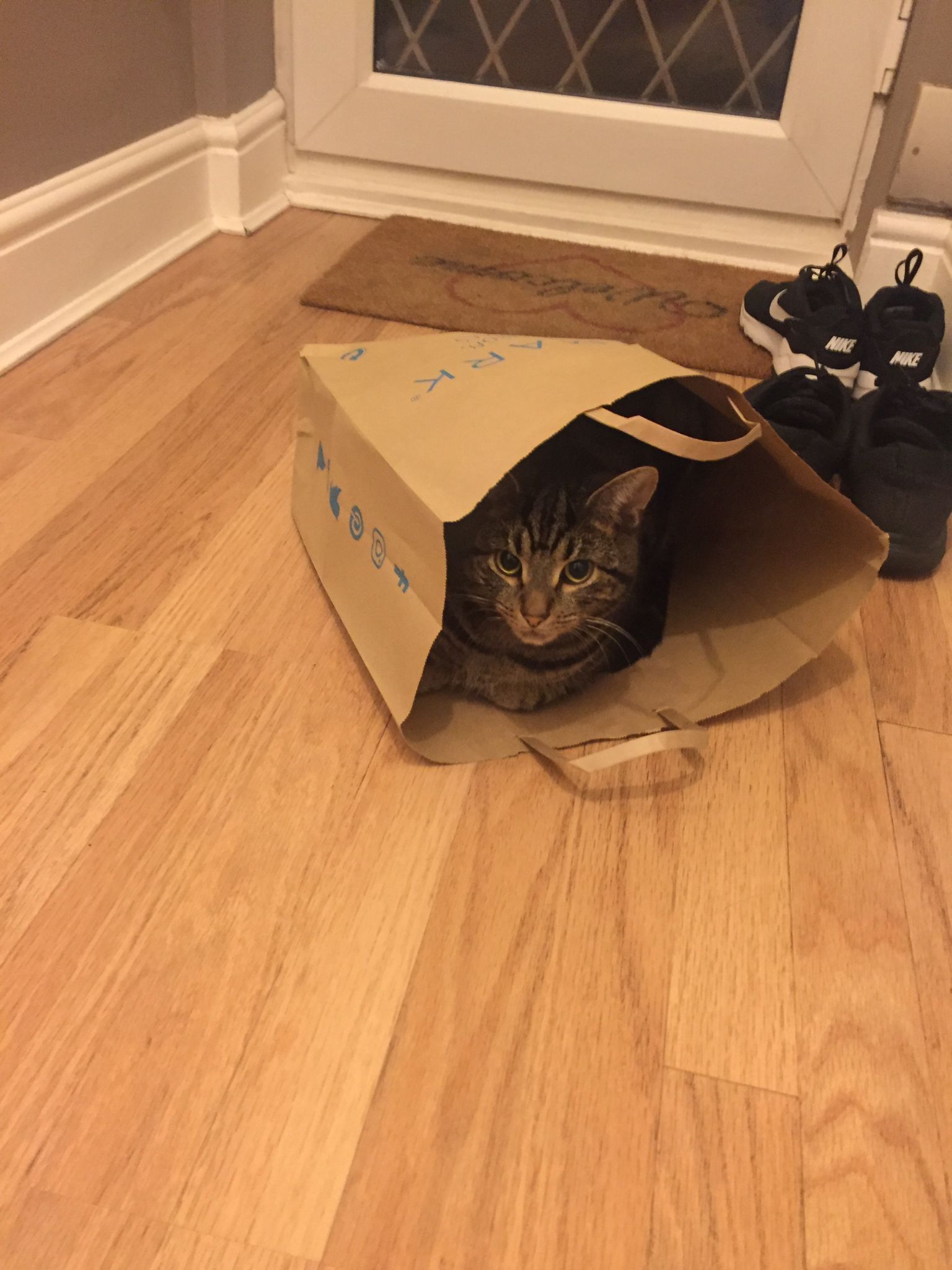 Archie
