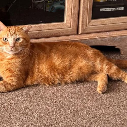 ❤️ UPDATE ON GERALD…