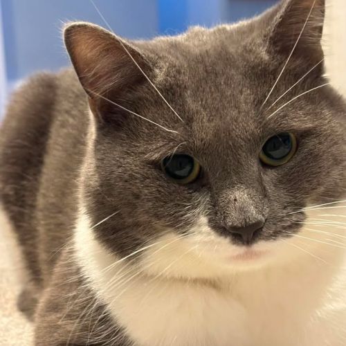 😻 Lovely little mo…
