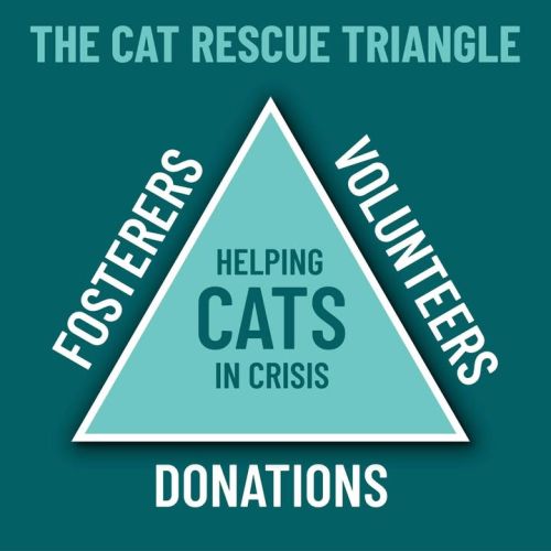Could you help us h…