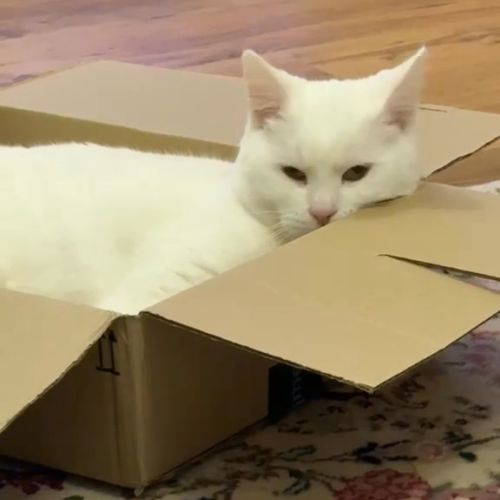 🥳 Update- Nunu has…