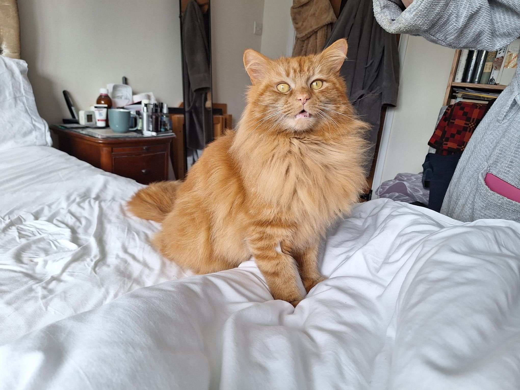 Simba