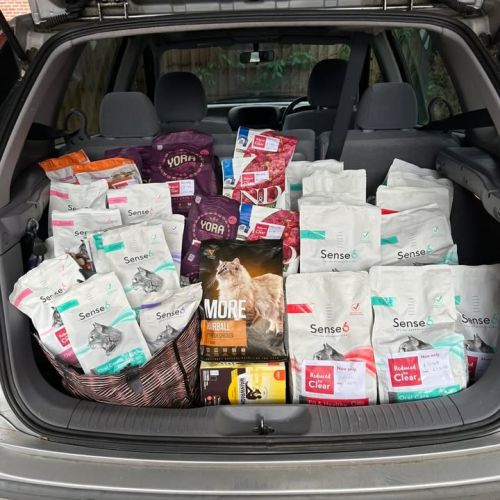🎉 THANK YOU PETS C…