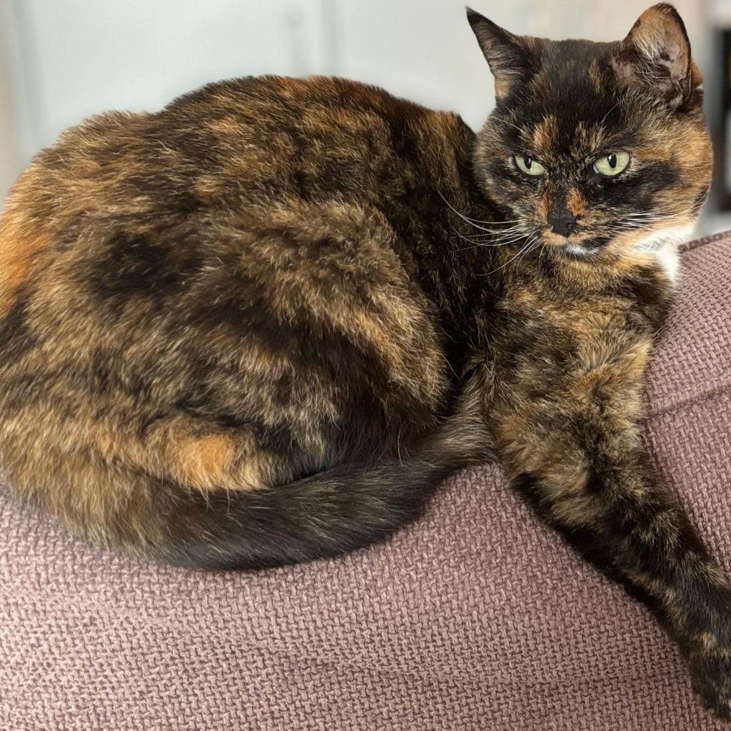 Luna