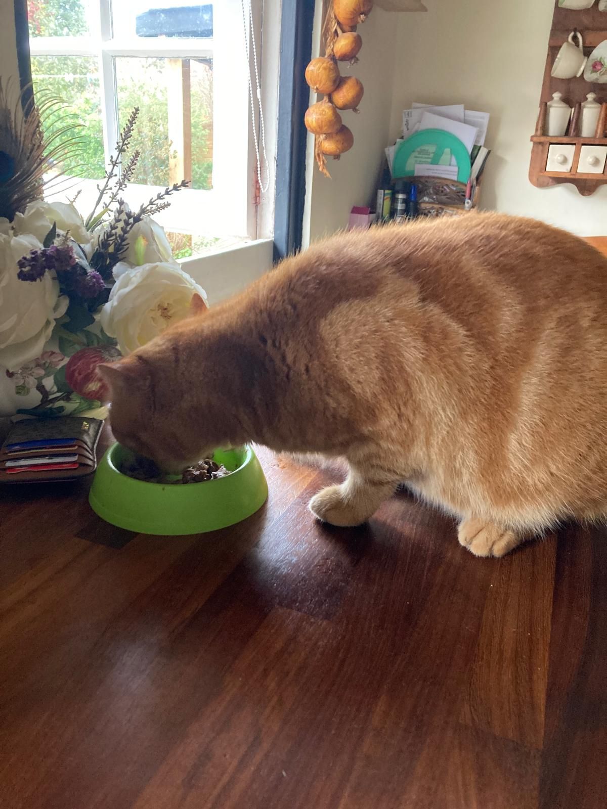 Gerald the ginge